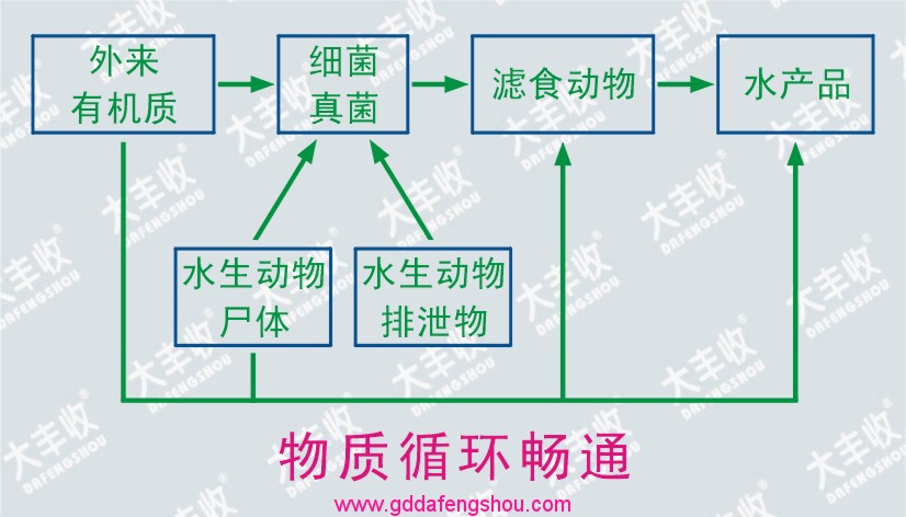 圖片關(guān)鍵詞